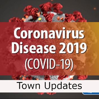 colored image of coronavirus spike cell