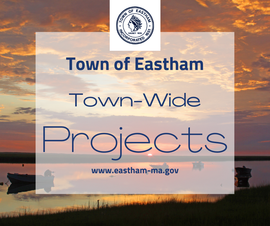 marsh grass with ocean and boat background at sunset text townwide projects