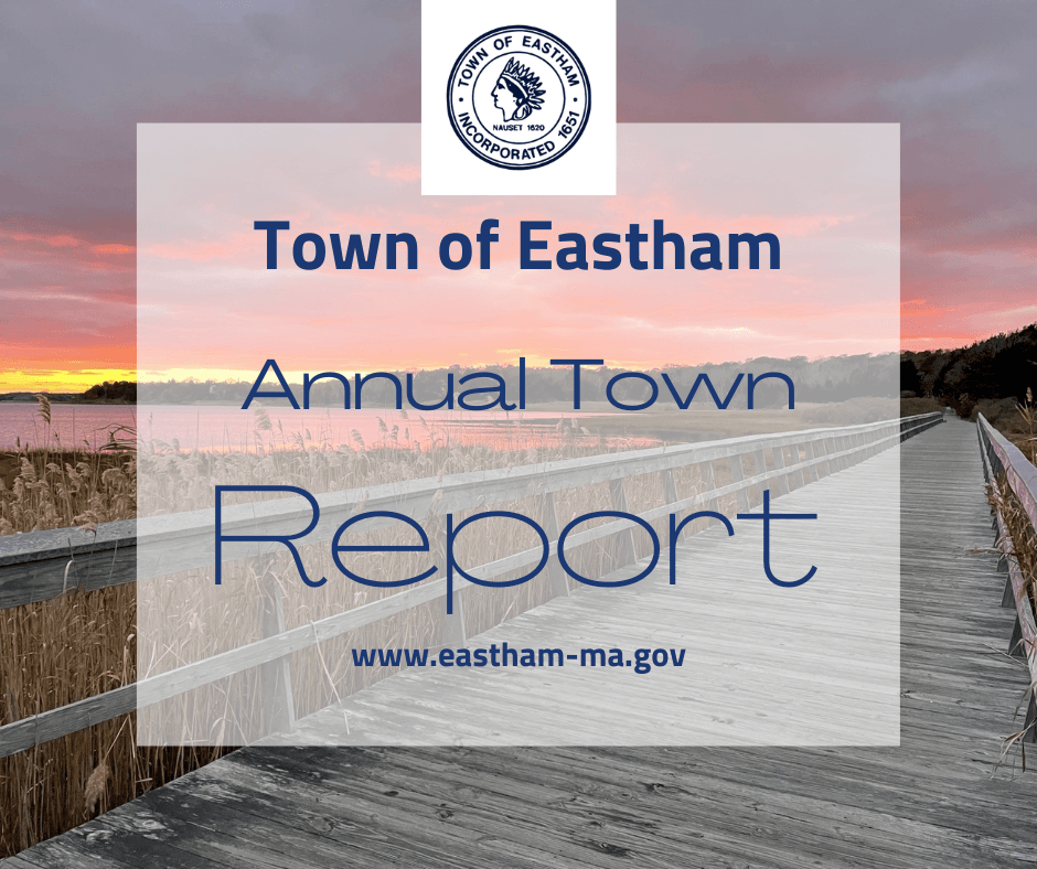 wooden dock with sunset over ocean in the background text annual reports