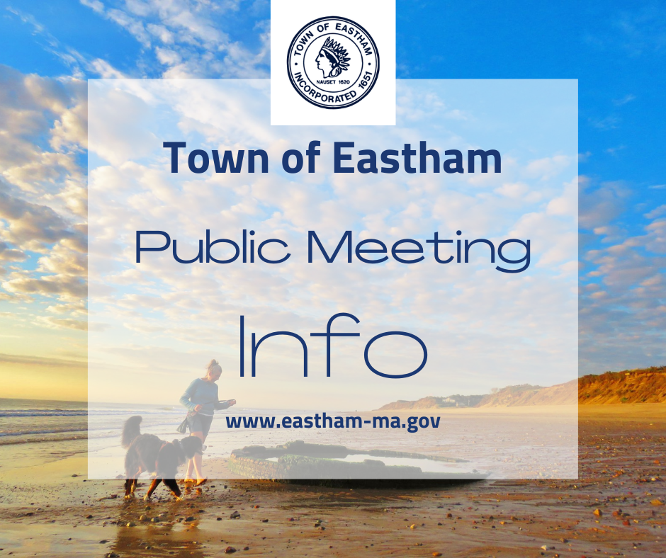 view of beach and woman walking dog at sunrise with sky background text public meeting info
