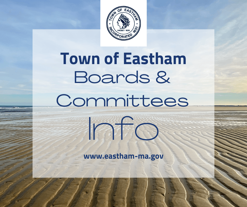 low tide sand with ocean and sky background text boards & committees