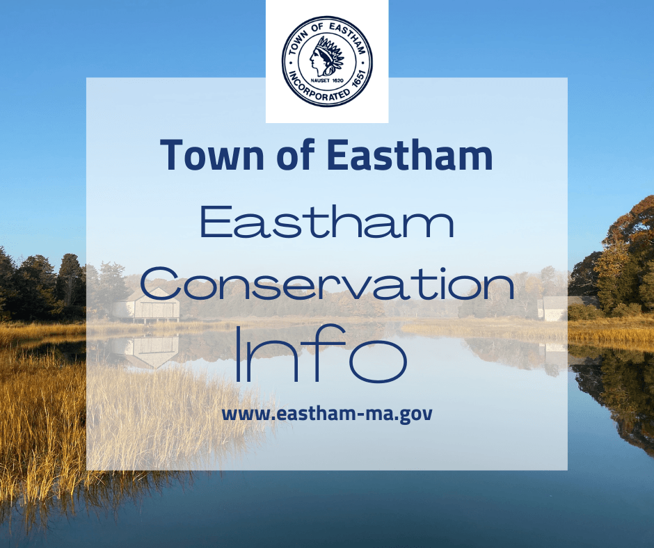 marsh grasses and waterway sky background text Eastham conservation info