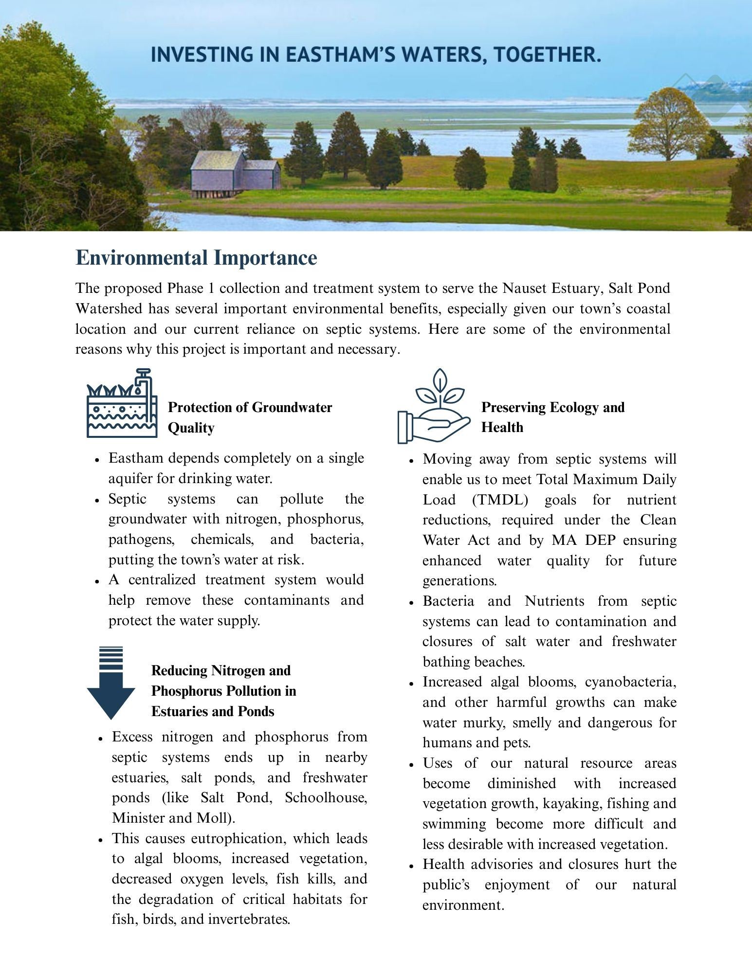 Environmental Importance