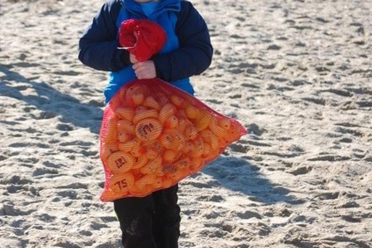 Bag of plastic ducks