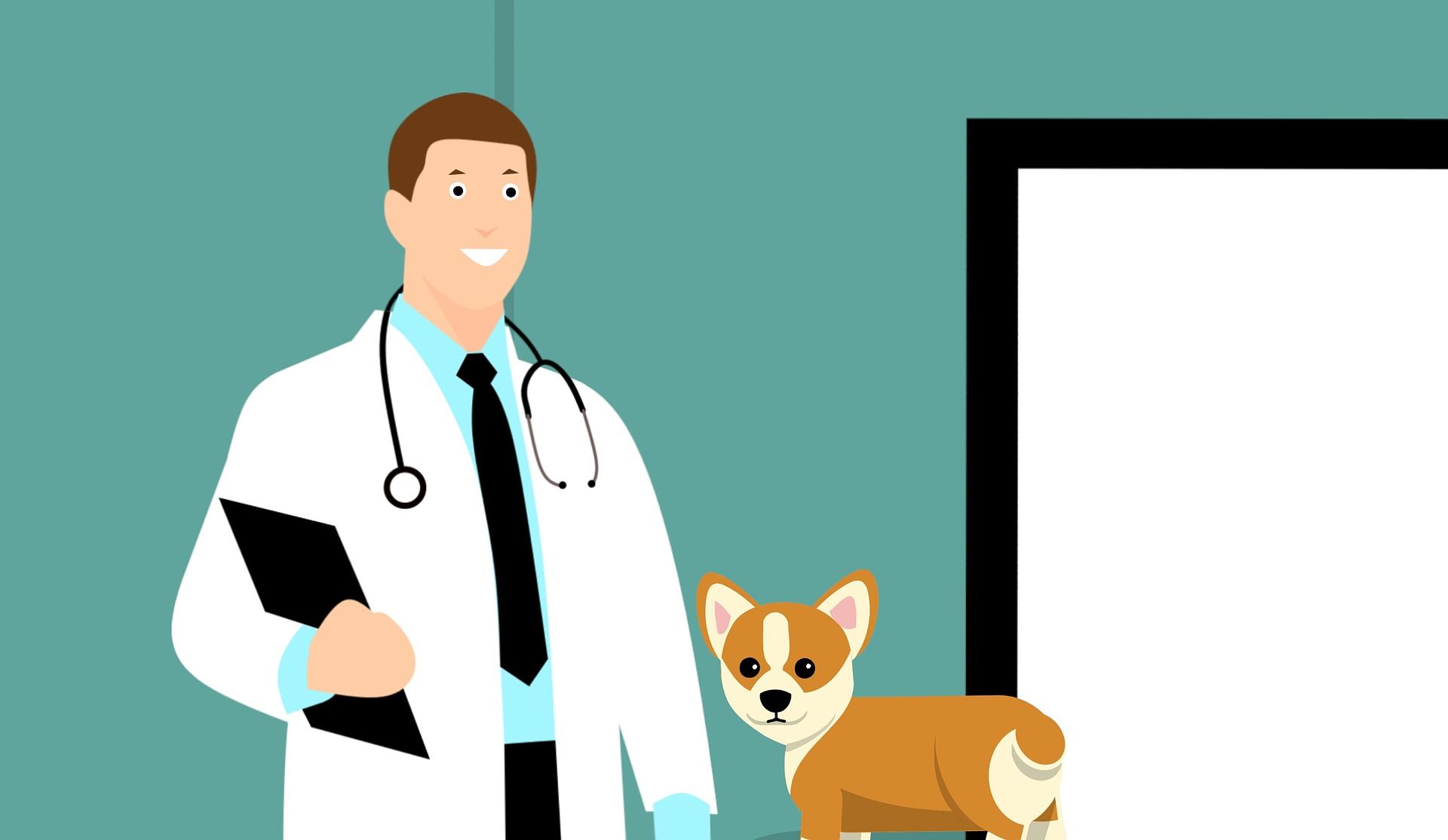 Cartoon Vet with corgi dog