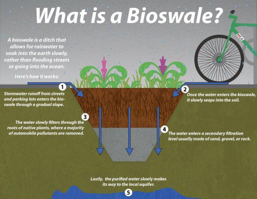 Bioswale diagram