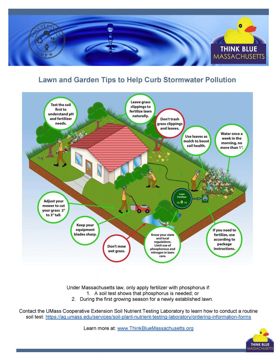 Lawn and garden tips to help curb stormwater pollution